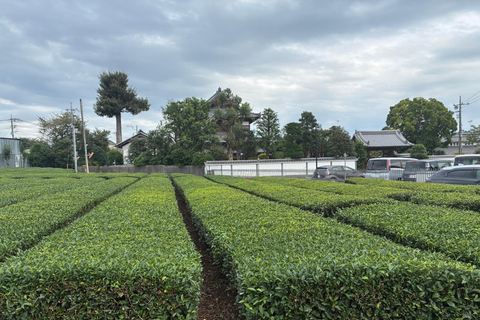 Tokyo: Lake Tama E-Bike Tour with Matcha Break