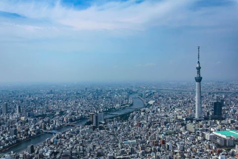 Tokyo Sky Cruising: tour della città di un giorno in elicottero