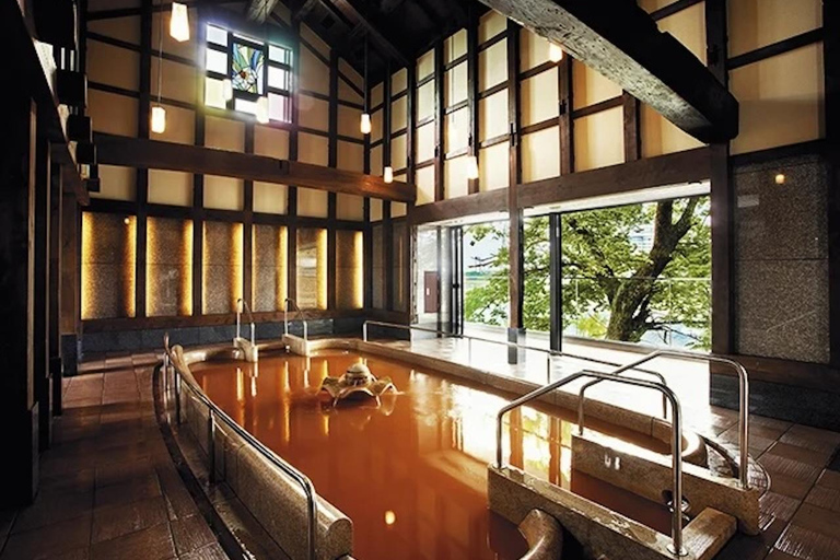 Från Nagoya: Gifu 2-dagars tur med Ukai Museum och Onsen