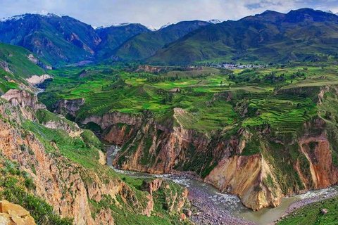 Arequipa: Colca Canyon 2 giorni e 1 notte a Colca Canyo