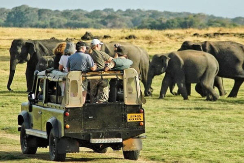 Sigiriya: Minneriya National Park Private Jeep Safari Tour Dambulla: Minneriya National Park Private Jeep Safari Tour