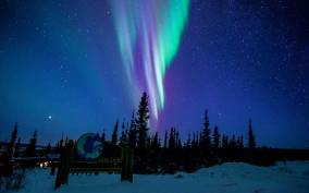 From Fairbanks: Northern Lights and Arctic Circle Tour