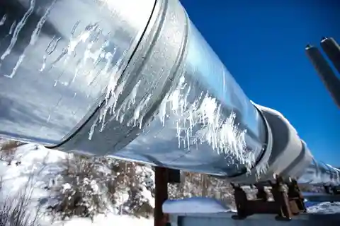 Fairbanks Heritage Sightseeing Tour