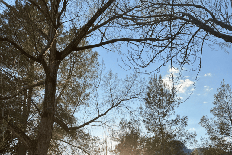 Valencia: Montanejos Thermal Springs & Waterfall Hike