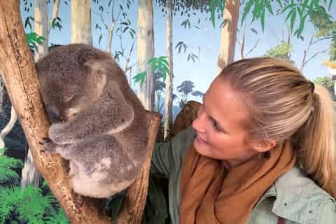 phillip island penguins and wildlife fullday tour