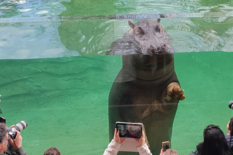 ZooParc de Beauval: Day Admission Ticket