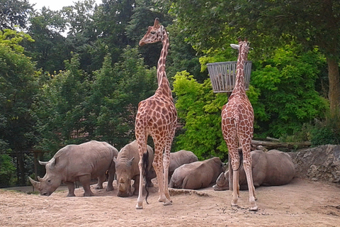 ZooParc de Beauval: Day Admission Ticket