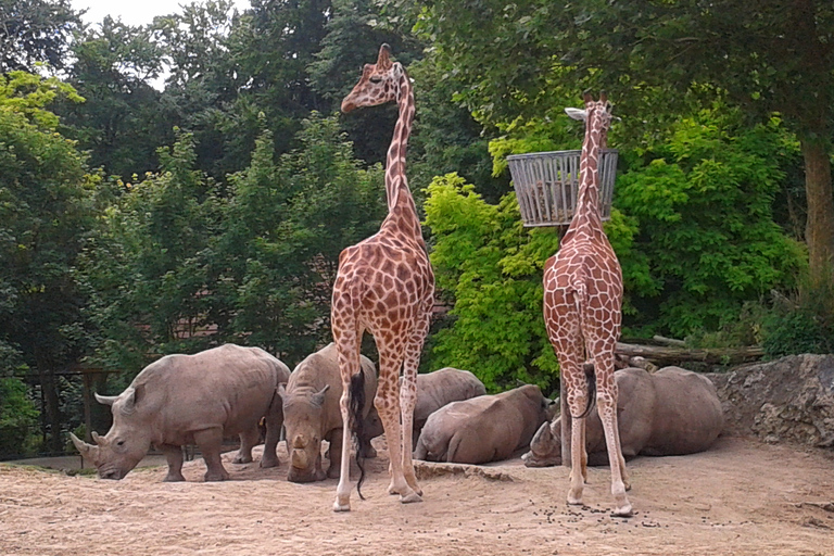 ZooParc de Beauval: Day Admission Ticket