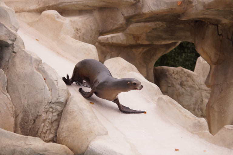 ZooParc de Beauval: Day Admission Ticket