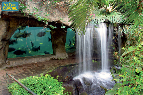 ZooParc de Beauval: Day Admission Ticket
