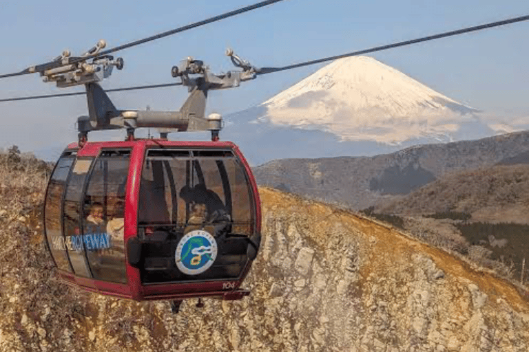 From Tokyo: Mount Fuji Full Day Customizable Private Tour