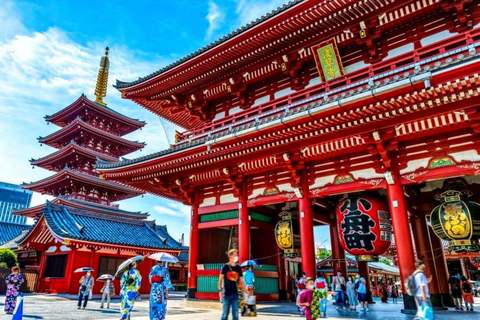 Tokyo: Private Full Day City Tour with English Driver