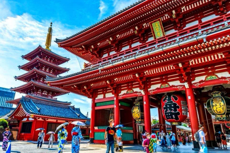 Tokyo: Private Full Day City Tour with English Driver