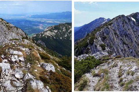 Brașov: Carpathian Mountains Guided Hike with Pickup