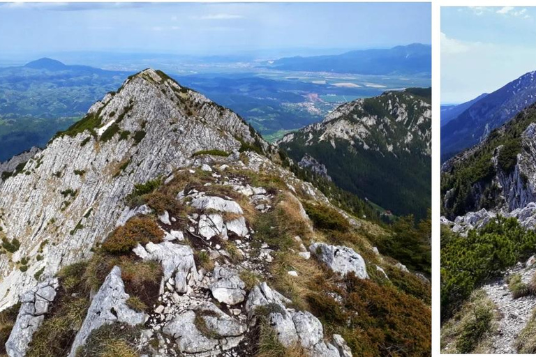 Brașov: Carpathian Mountains Guided Hike with Pickup