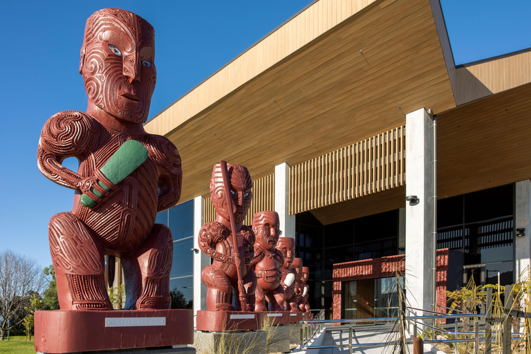 Au départ d&#039;Auckland : Hell&#039;s Gate Mud Bath &amp; Rotorua Highlights Tour