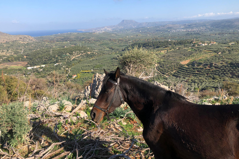 Gebiet Chania: Kochkurs auf einem Bauernhof im Dorf StylosKochkurs mit traditionellen Gerichten und biologischen Lebensmitteln