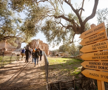 Entrance Ticket to Villa Adriana & App Audioguide