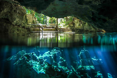 Tour de tortugas y cenotesTour vespertino de tortugas y cenotes