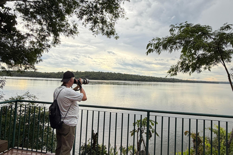 Birdwatching Tour At Poço Preto Trail