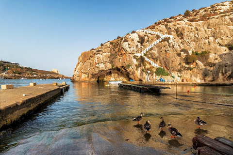 Från St. Julian&#039;s: Gozo, Comino, Blå lagunen med motorbåt