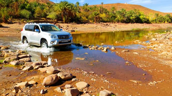 ouarzazate tour privado de día completo y oasis fint