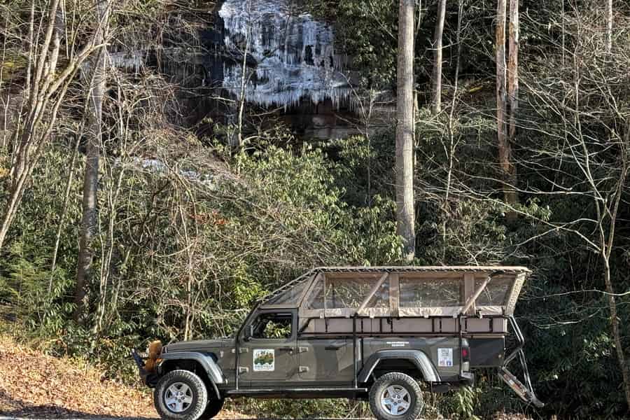 Pisgah Forest, North Carolina: Wasserfall-Abenteuertour. Foto: GetYourGuide