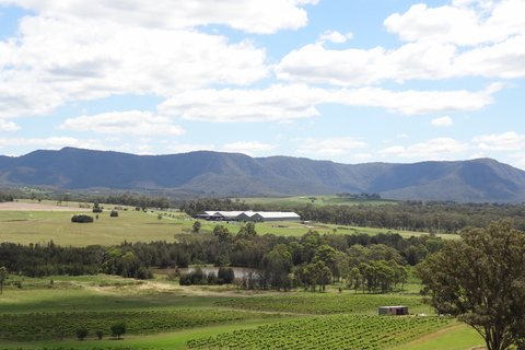 Vanuit Sydney: Wijn- en kaasproeverij in Hunter Valley