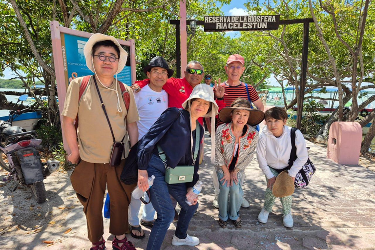 From Merida: Sightseeing tour to Celestún, Flamenco Route, Mangroves, and Estuary From Merida: Tour to Celestun, Flamenco Route, Mangroves, and Estuary