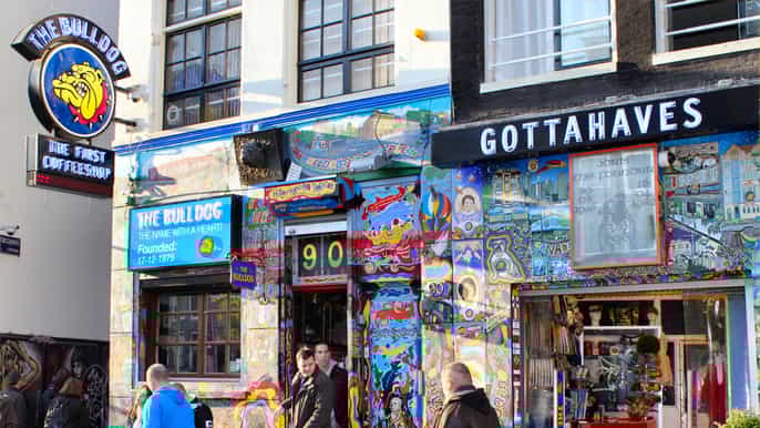 amsterdam privater 2stündiger rundgang zu coffeeshops
