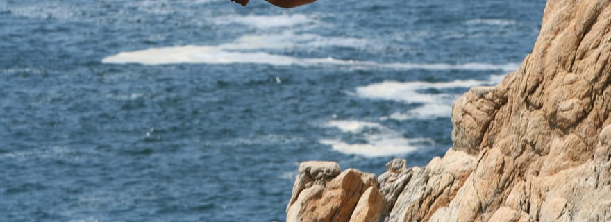 *Visite touristique de 4 heures pour les hôtels seulement