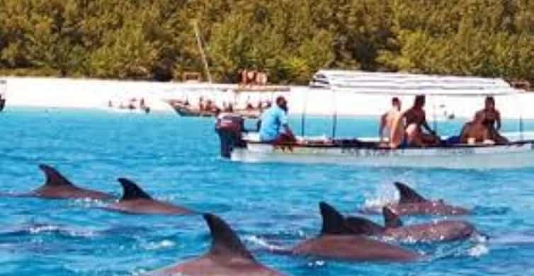 Mnemba Atoll Dolphin Snorkelling Tour Getyourguide