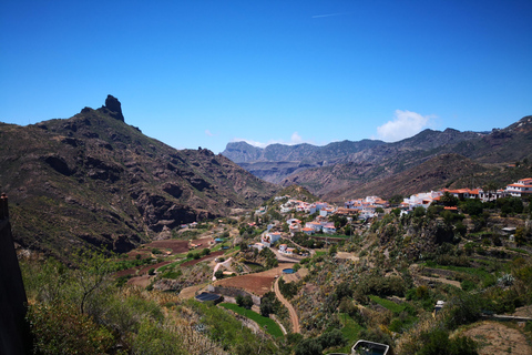 Las Palmas: Maspalomas to the Tejeda Mountains Grand Tour