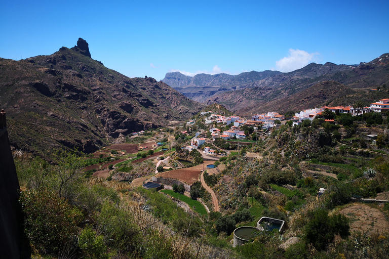 Las Palmas: Maspalomas to the Tejeda Mountains Grand Tour