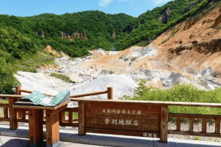 Desde Tokio: Excursión privada de un día al Mono de las Nieves y Zenkoji