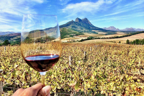 Ciudad del Cabo: Excursión en Tranvía del Vino de Franschhoek con Degustaciones