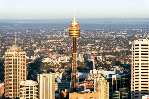 Sydney Tower Eye: Eingang mit AussichtsplattformSydney Tower Eye - Buchung für heute