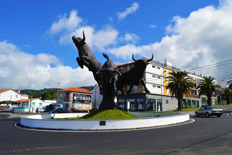 Azores: excursión de día completo por Terceira