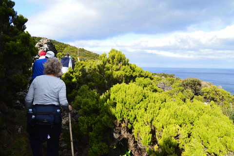 Azoren-Insel Terceira: Halbtägige Wanderung