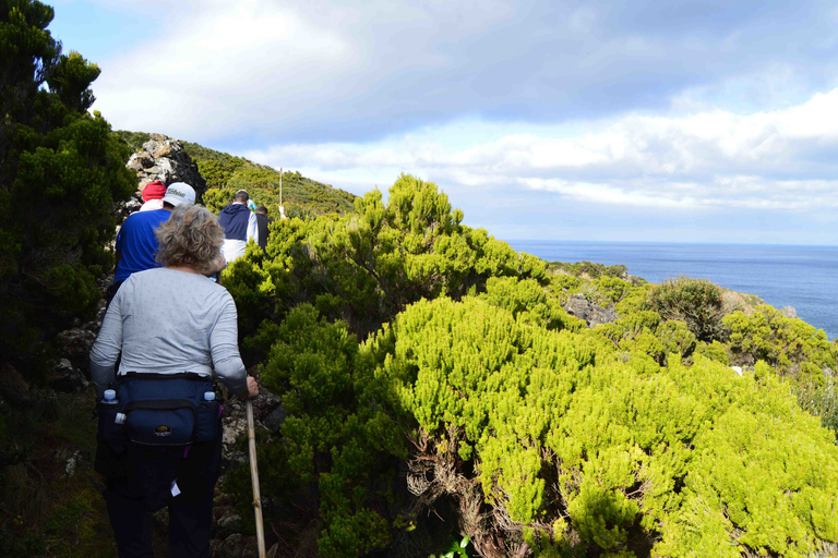 Azoren-Insel Terceira: Halbtägige Wanderung