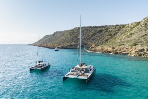 Palma de Mallorca: tour de medio día en catamarán con buféCrucero al atardecer