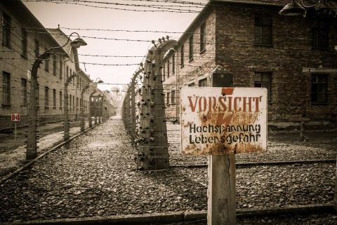 From Lodz: Auschwitz-Birkenau Small-Group Tour with Lunch