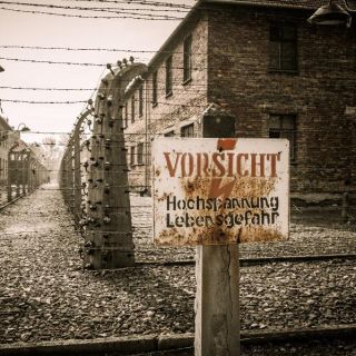 From Lodz: Auschwitz-Birkenau Small-Group Tour with Lunch