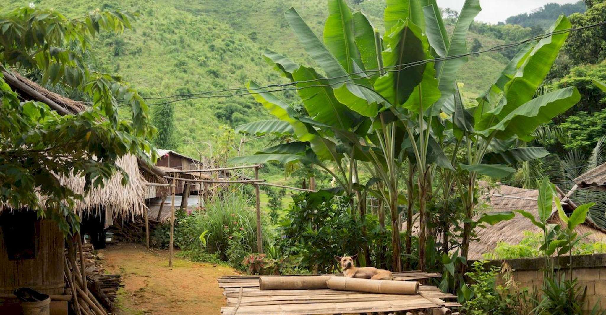 Akha & Lahu village trekking 1 day