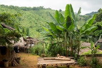 Akha & Lahu village trekking 1 day - Housity