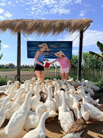 Funny day cycling, Buffalo riding, Duck farm and Basket boat