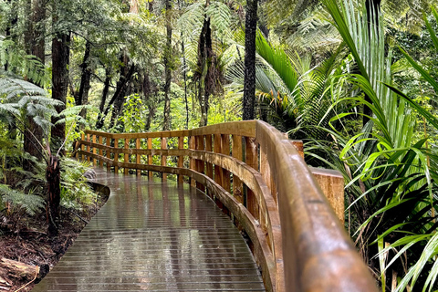 Auckland: Matakana Village, Omaha Beach, & Honey Tour