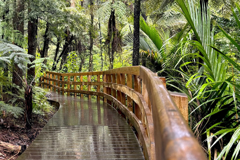 Auckland: Matakana Village, Omaha Beach, & Honey Tour