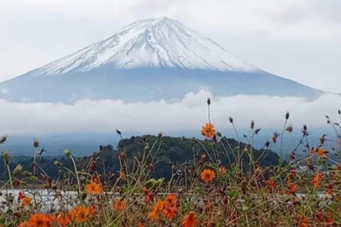 Tokyo: Mount Fuji and Hakone Hidden Gems Tour