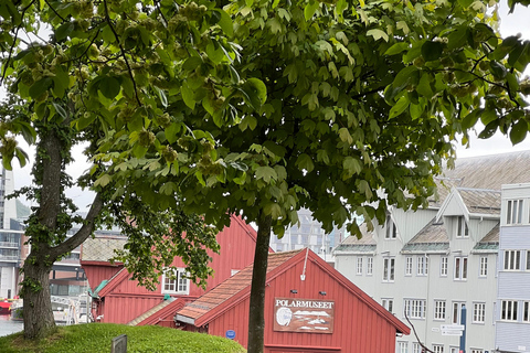 Tromsø: Discover the City & Polar Museum! Free entry! Tromsø: Guided tour of the city, including the Polar Museum!